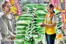 [YTN] 가수 홍자, 팬클럽과 함께 쌀 2,000kg ‘천사무료급식소’에 기부
